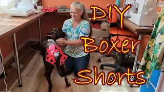 DIY Boxer Shorts Puppy Period/Sanitary Pants Homemade Nappy Diaper for your Female Dog in Heat