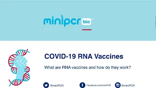 RNA Vaccines Live Webinar