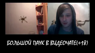 BIG SPIDER IN VIDEO CHAT | ILLUSION IN VIDEO CHAT # 9