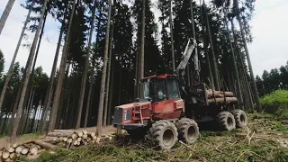 Vyvážení kůrovcové kulatiny pomocí starší vyvážečky Valmet 840.3 (Lesy Soukal)