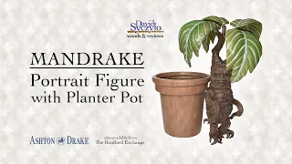 Mandrake Portrait Figure from Ashton Drake