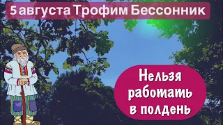 5 августа  в народном календаре – Трофим, Трофимов день, Трофим Бессонник