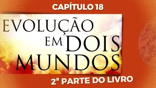 EVOLUÇÃO E DESTINO - 2ª Parte do livro - Capítulo 18