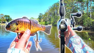 Spring Fishing With A Ultra-Realistic Bluegill Swimbait (Crazy Eat)