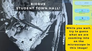 BioBus Student Town Hall: COVID-19, Part 2