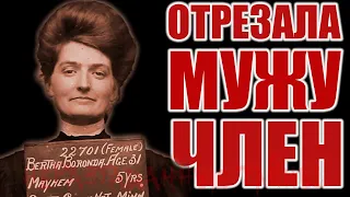 Удивительная история Берты Боронды. Короткие истории на ночь. История №37