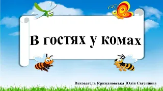 Логіко-математичний розвиток "В гостях у комах". Середня група