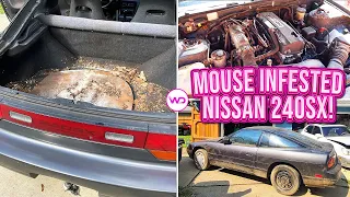 MOUSE INFESTED Nissan 240SX Gets First Detail In 20 Years! Satisfying Car Detailing Restoration