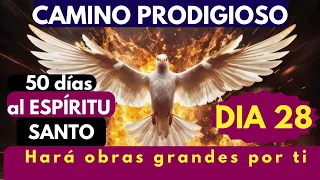 Día 28🔥🙏 CAMINO PRODIGIOSO 50 DIAS CON EL ESPÍRITU SANTO/el poderoso HARA OBRAS GRANDES POR TI 🙏🔥