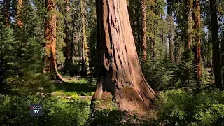 America's National Parks 🌲🏞️