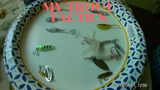 my trout tactics