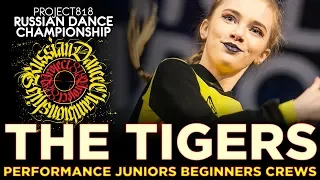 THE TIGERS ★ PERFORMANCE JUNIORS BEGINNERS CREWS ★ RDC19 PROJECT818