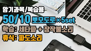 (암기과목/복습용) 🕑50/10뽀모도로: 50분 공부/10분 휴식 + ⚡장기기억력향상 6Hz 세타파 + 장작불소리🔥 |5세트 | 50/10 Pomodoro: 6Hz EEG