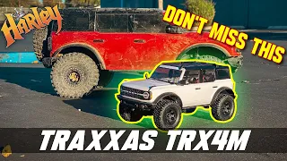 CHEAP is good! Traxxas TRX4M is a WINNER!