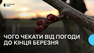 Прогноз погоди до кінця березня від Укргідрометцентру