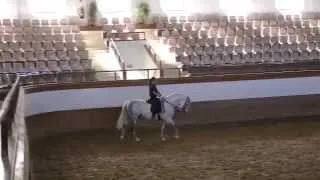 Royal Andalucian School of Equestrian Art in Jerez, Spain