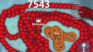 Learning Snake.Io with MrSnakeMan (How to become the biggest snake quickly and stay the biggest)