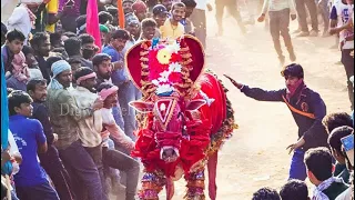 Betegara (Hori Habba 2018) Bull race (part 1)