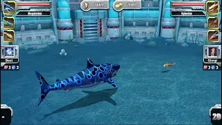 MEGALODON VS HYBODUS - Jurassic Park Builder Aquatic Tournament Android Gameplay HD