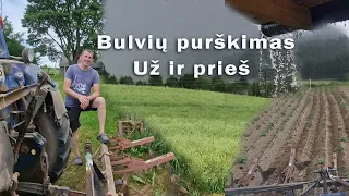 Purškiam bulves nuo žolės