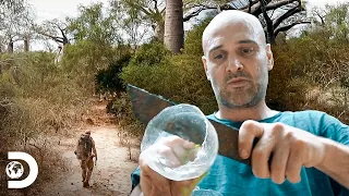 Técnicas para resistir às condições mais hostis | Ed Stafford: Desafio Mortal | Discovery Brasil