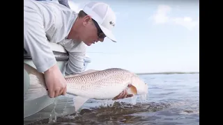 Florida Sportsman Watermen - Jacksonville Variety with Jake Bates and Gabe Lefebvre