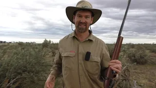 Australian Jack Rabbit/Hare Hunting - brought to you by a .22 magnum