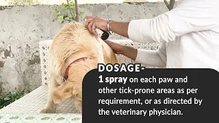 How to Use Tick Free Spray for Dogs by Fur Ball Story | Tick Repellent Spray