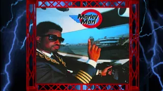 Marley Marl - The Symphony (Feat. Masta Ace, Craig G, Kool G Rap & Big Daddy Kane)