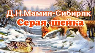 Серая шейка. Рассказ для детей Д.Н.Мамин-Сибиряк