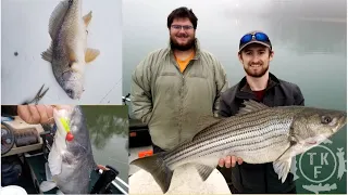 Multi Species Fishing Trip on the Tennessee River