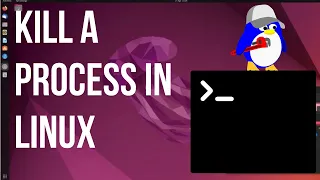 How to Kill a Process in Linux | Commands to Terminate