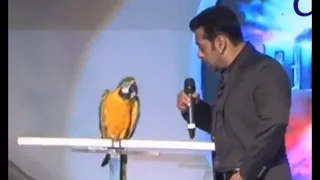 Salman khan talking with parrot