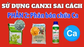 Sử dụng Canxi sai cách | Phần 2: Phân bón gốc và bón lá chứa Canxi | Canxi nitrat | Canxi Bo