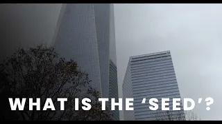 The "Seed" | The Survivor Tree from 9/11