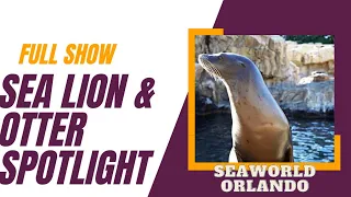 Sea Lion & Otter Spotlight - Full Show SeaWorld Orlando Florida