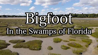 Bigfoot in the Swamps of Florida