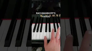 Normal Hands vs Pianists Hands
