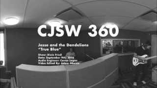 Jesse and the Dandelions "True Blue" (Live at CJSW 360)