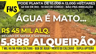 R$ 45 MIL O ALQ. - PLANTA 12 MIL HA - FAZENDA COM MUITA ÁGUA NO TOCANTINS #fazendaavendanotocantins