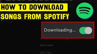 How To Download Songs From Spotify - Full Guide step-by-step