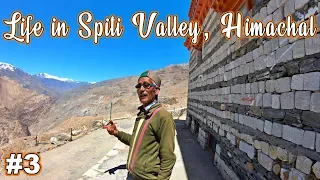 THE LIFE OF PEOPLE IN SPITI VALLEY, NAKO MONASTERY ☸️