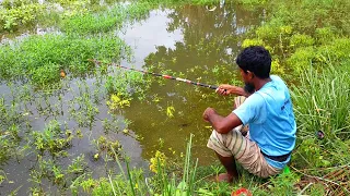 Traditional Hook Fishing in Village Canal - Village People Catching Fish By Hook (Part-16)