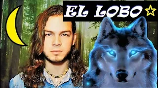 Animal Espiritual Lobo significado