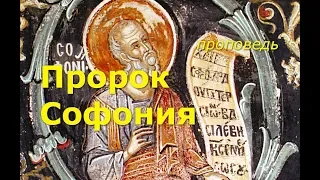 Открываем новое имя: пророк Софония