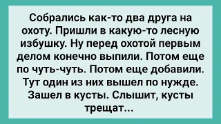 Как Два Друга на Охоту Ходили! Сборник Свежих Смешных Жизненных Анекдотов!