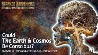 Could The Earth & Cosmos Be Conscious? plus Goblins, Paranormal Archives, Gunung Padang & Diddy