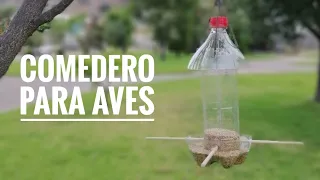 Comedero para aves | reciclaje de botellas
