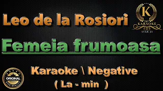 Leo de la Rosiori - Femeia Frumoasa // Karaoke // Negative // La - min