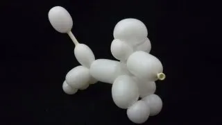 Balloon Poodle